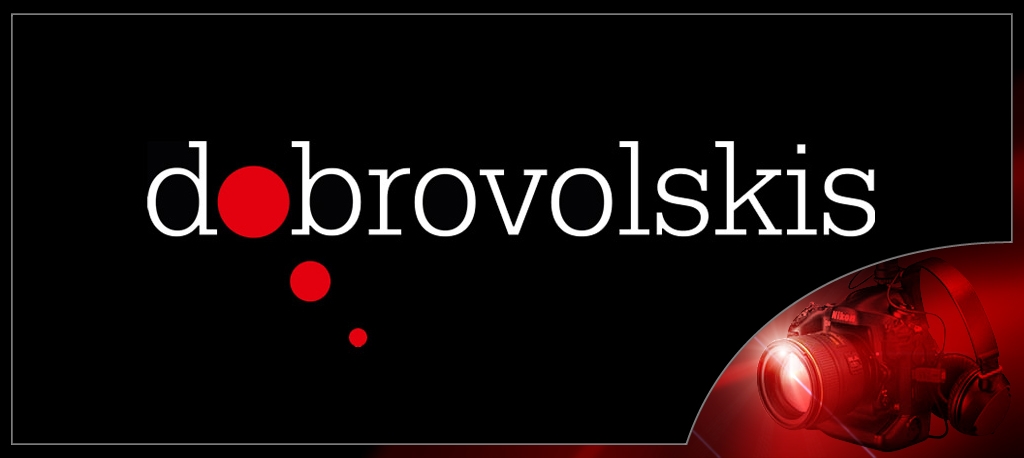 Fotografo Vlado Dobrovolskio darbų pavyzdys – vestuvių ir šeimos fotografija